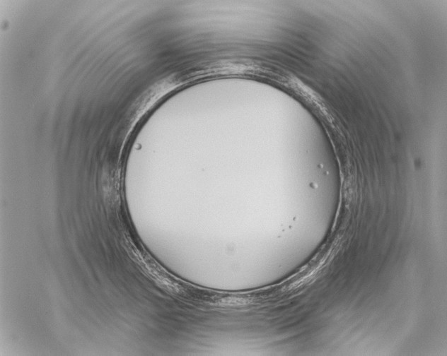 X0000059841178200511181505