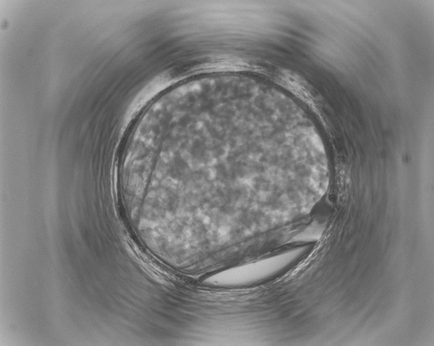 X0000059841179200511181505