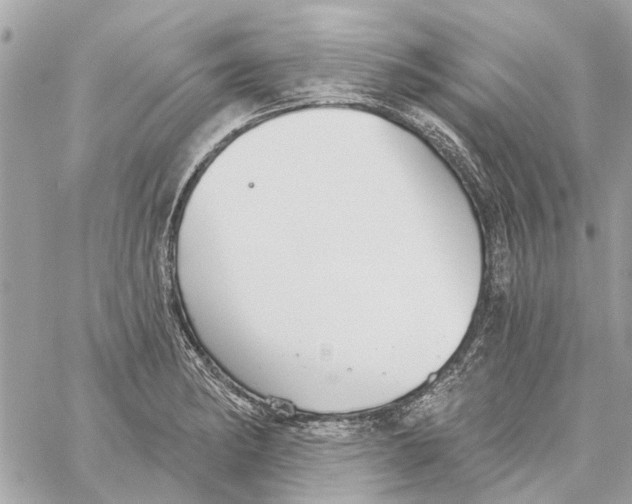 X0000059841182200511181505