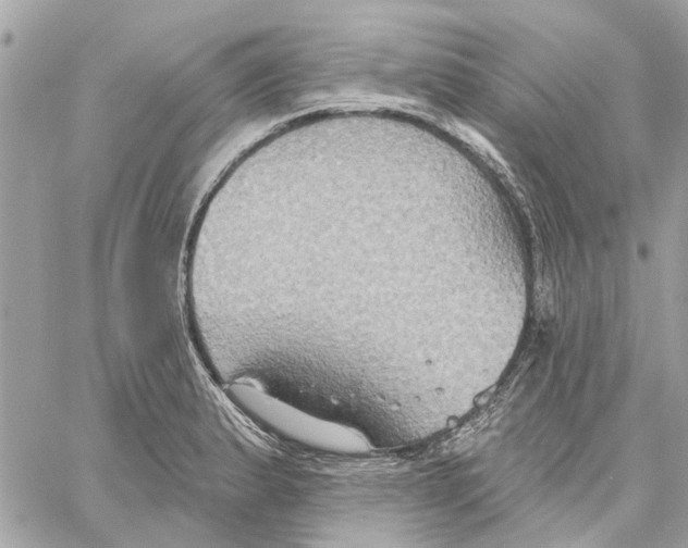 X0000059841183200511181505