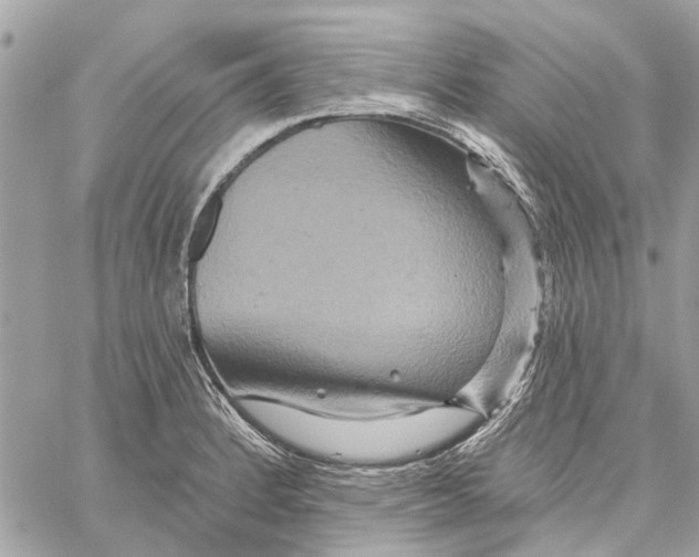 X0000059841184200511181505