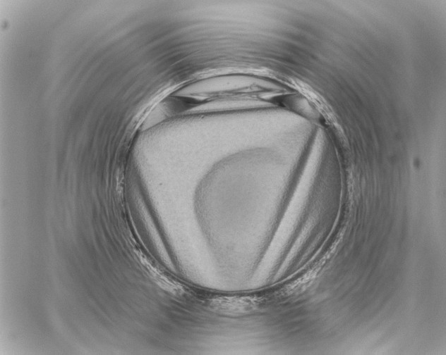 X0000059841185200511181505