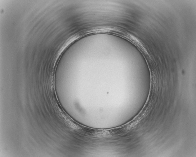 X0000059841186200511181505