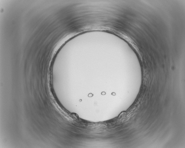 X0000059841187200511181505