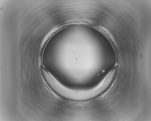 X0000059841188200511181505