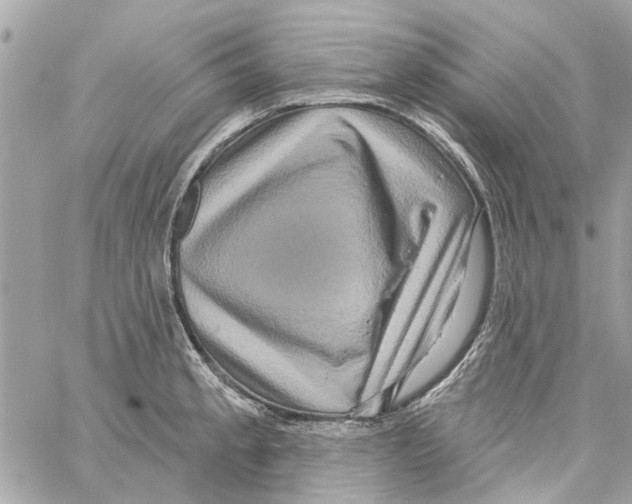 X0000059841189200511181505