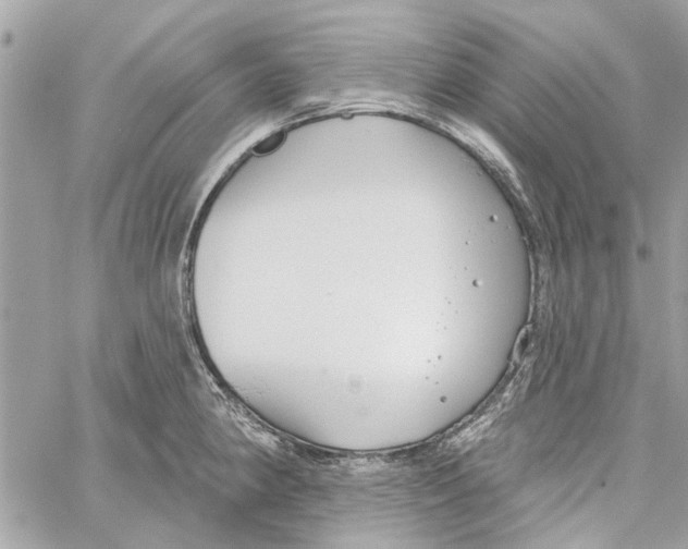 X0000059841190200511181505