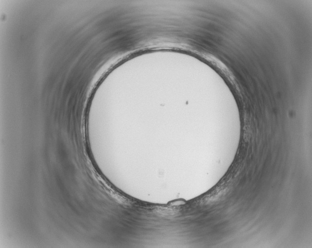 X0000059841191200511181505