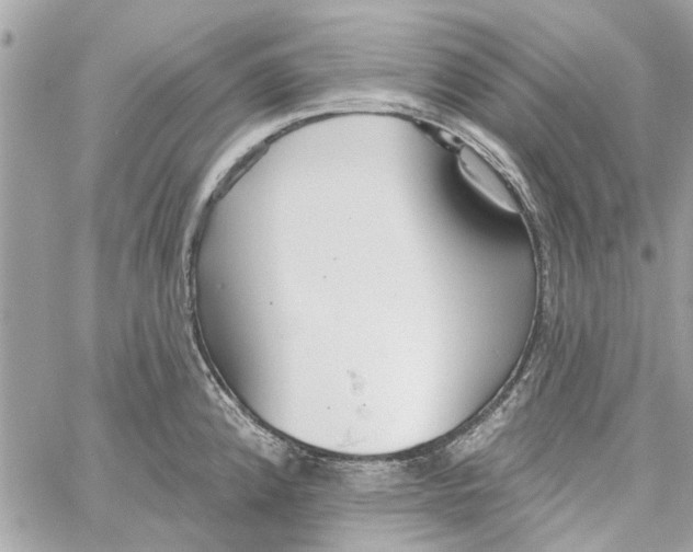 X0000059841192200511181505