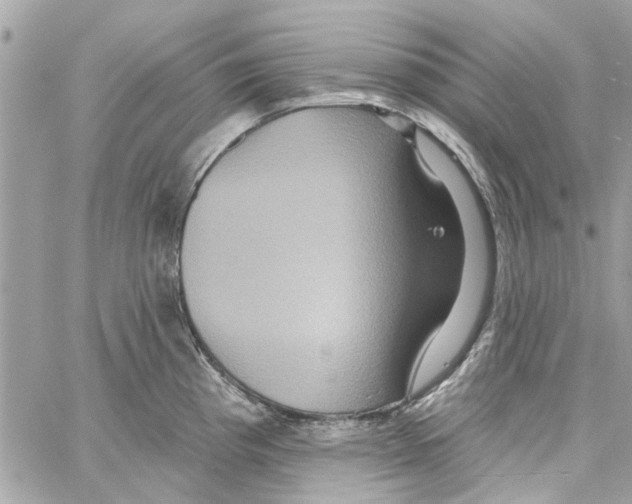 X0000059841193200511181505