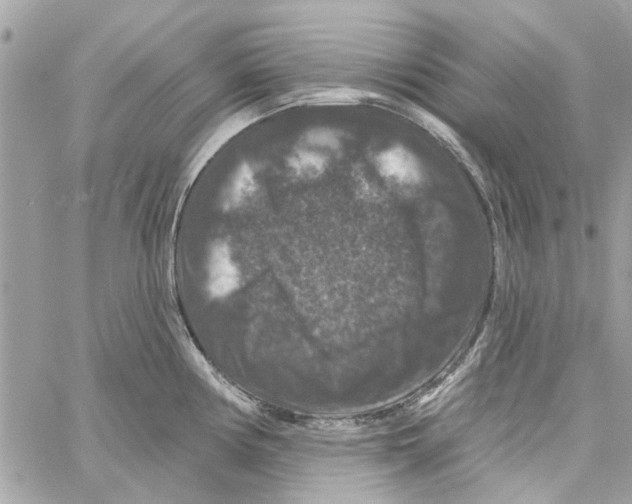 X0000059841194200511181505