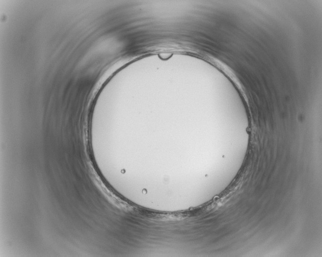 X0000059841195200511181505