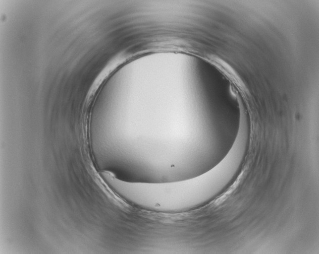 X0000059841196200511181505