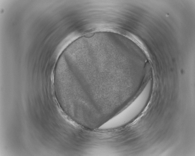 X0000059841198200511181505