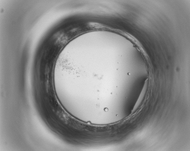 X0000059841199200511181505