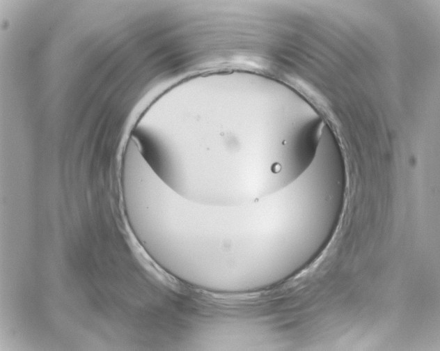 X0000059841200200511181505