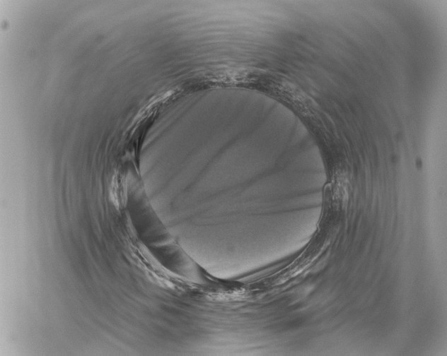 X0000059841202200511181504