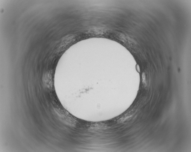 X0000059841203200511181504