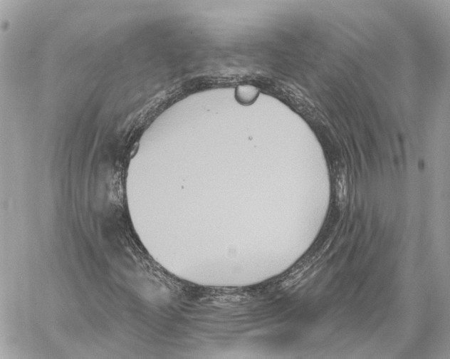 X0000059841204200511181504