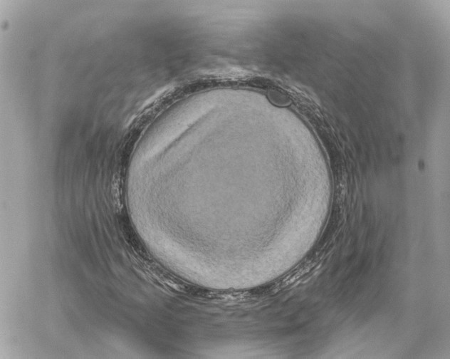 X0000059841205200511181504