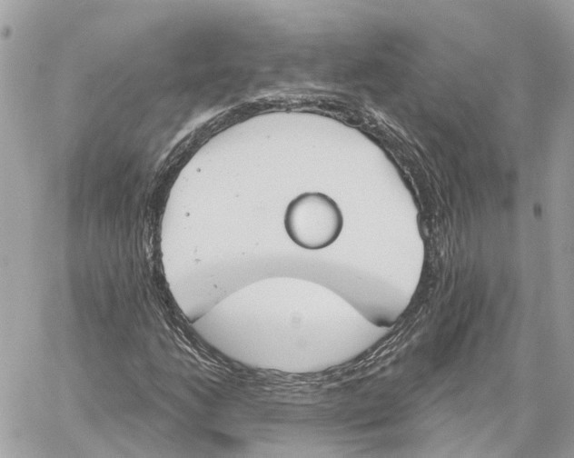 X0000059841206200511181504