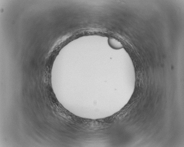 X0000059841207200511181504