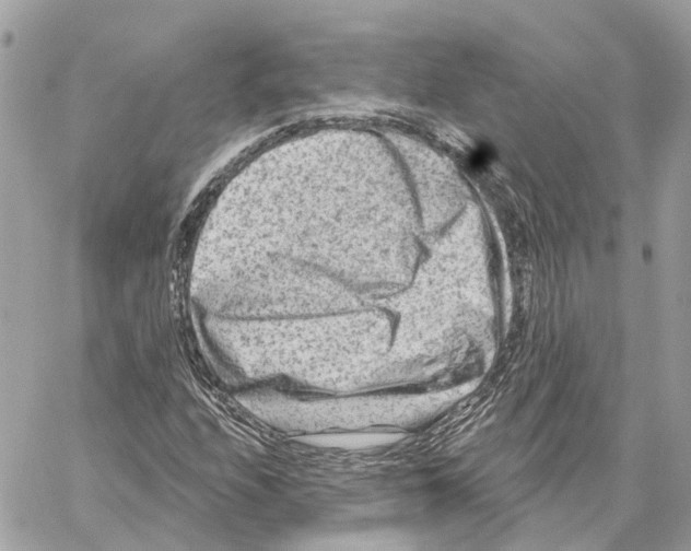 X0000059841208200511181504