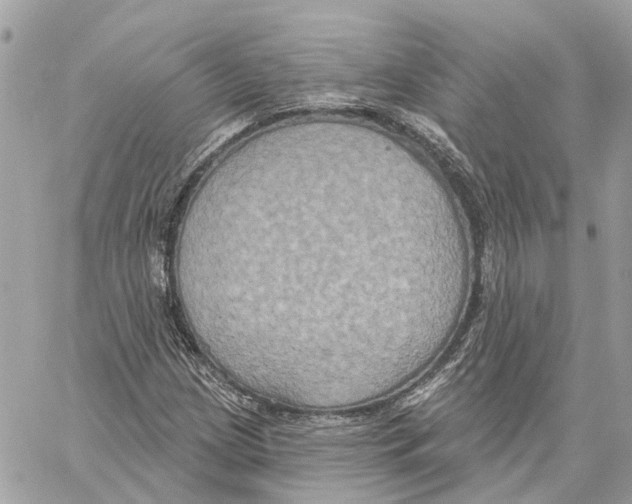 X0000059841209200511181504