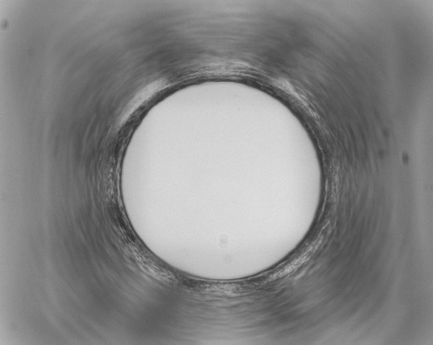 X0000059841211200511181504