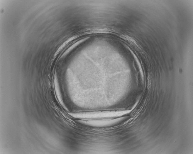 X0000059841212200511181504