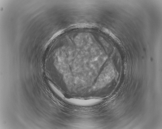 X0000059841213200511181504