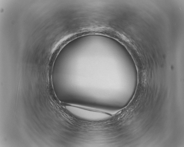 X0000059841214200511181504