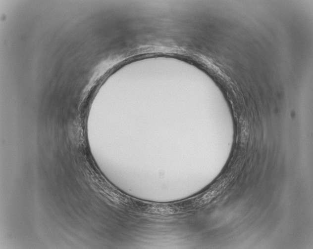 X0000059841215200511181504