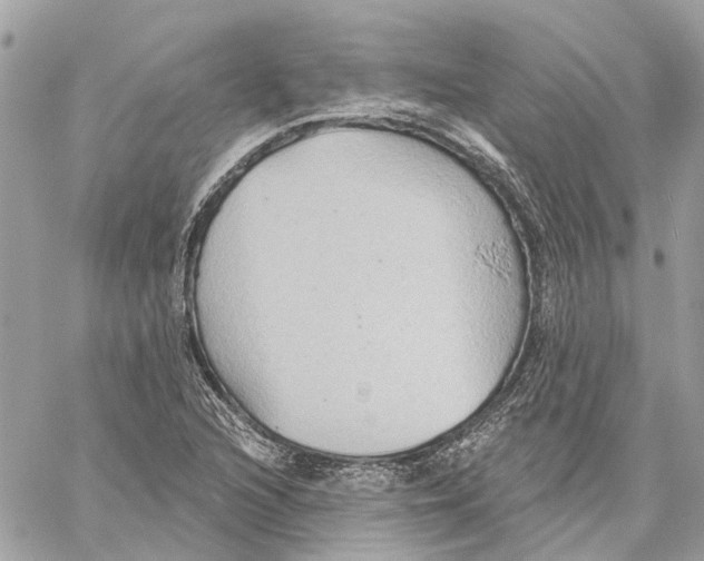 X0000059841216200511181504