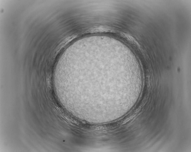 X0000059841217200511181504