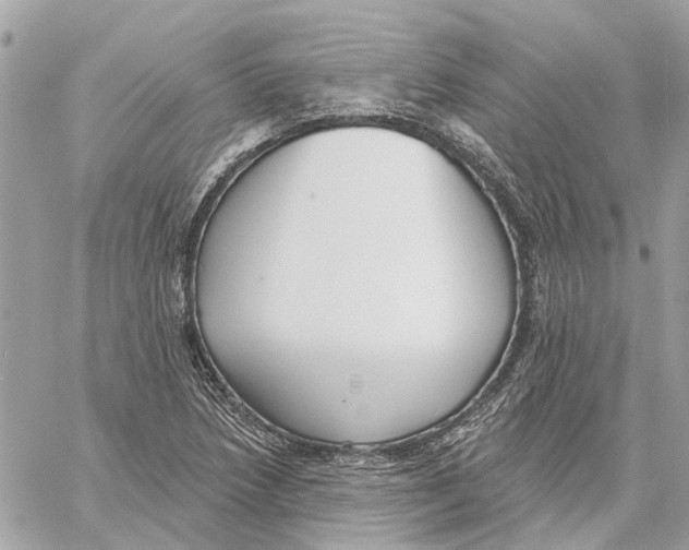 X0000059841218200511181504