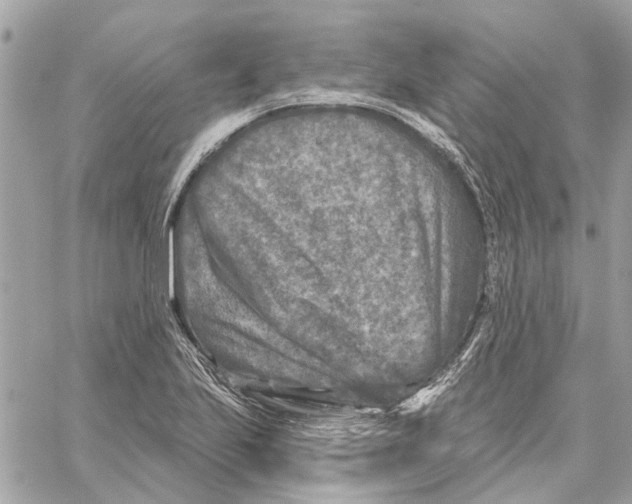 X0000059841223200511181505