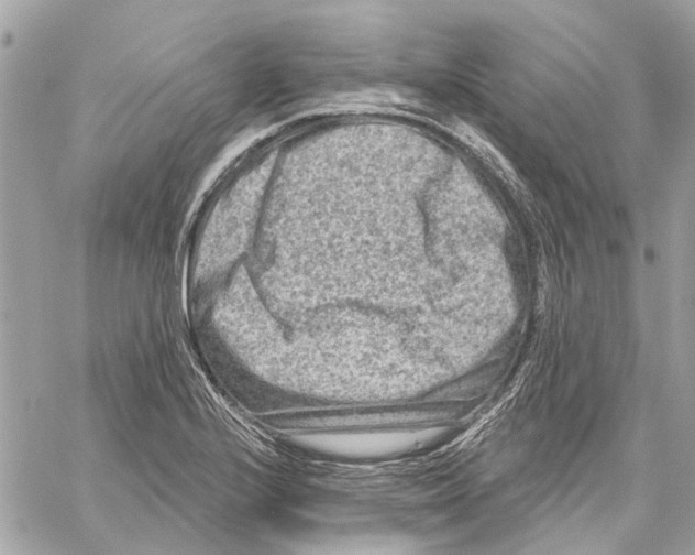 X0000059841224200511181505