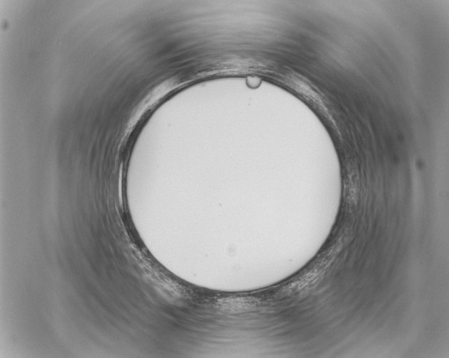 X0000059841227200511181505