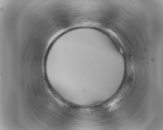 X0000059841230200511181505