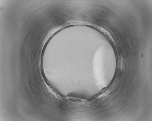 X0000059841231200511181505