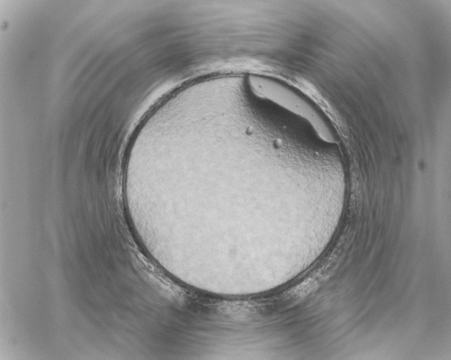 X0000059841232200511181505