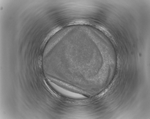 X0000059841233200511181505