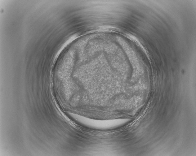 X0000059841235200511181505