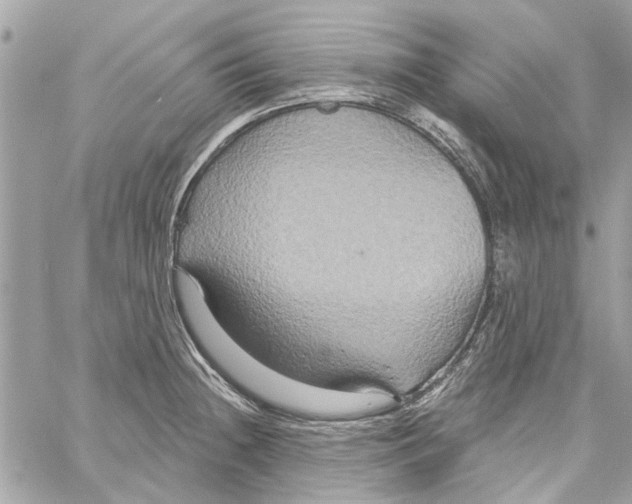 X0000059841236200511181505