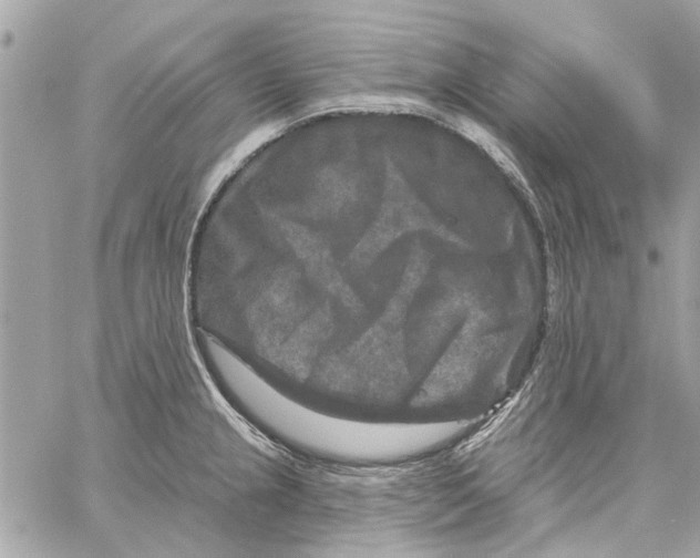 X0000059841237200511181505