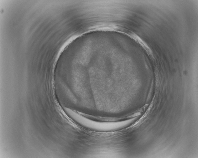 X0000059841240200511181505