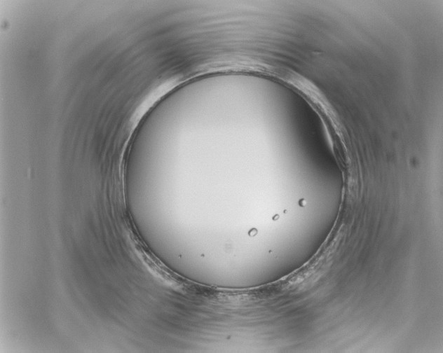 X0000059841242200511181505