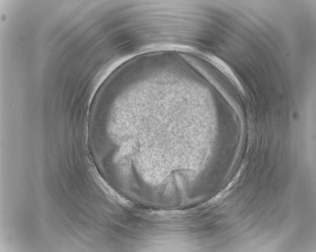 X0000059841244200511181505