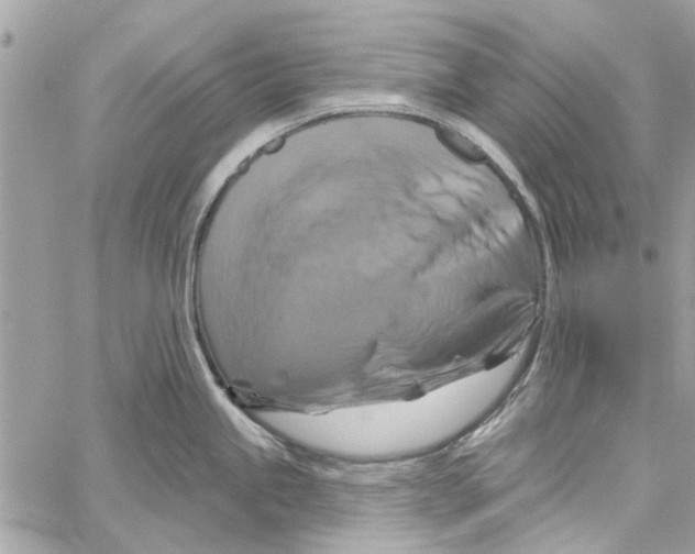 X0000059841245200511181505